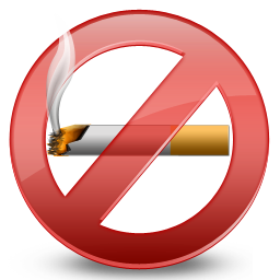 Regular No Smoking Icon 256x256 png